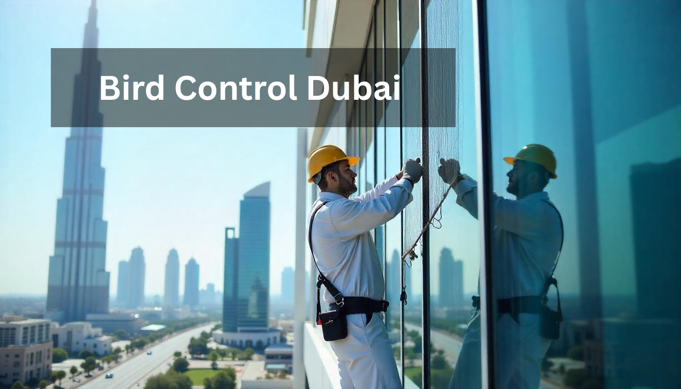 Bird Control Dubai | Professional Services | Al Mandhar